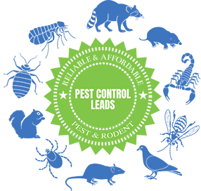 Types of pest leads