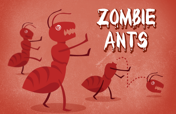 zombie ants