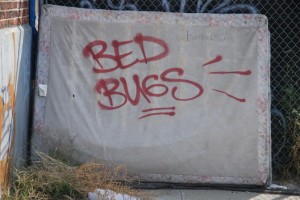 Bed Bug Mattress Encasement
