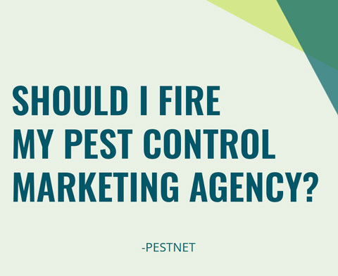 How Can I Get More Pest Control Leads in Spring?